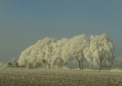 Impressionen - Jan Krischan Albers