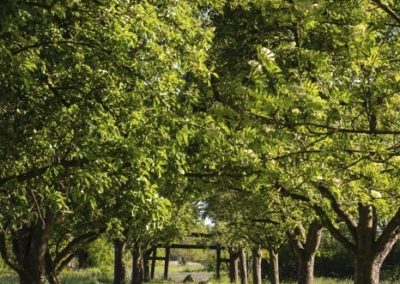 Burggarten, Foto: Rolf Lübke