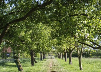 Burggarten, Foto: Rolf Lübke